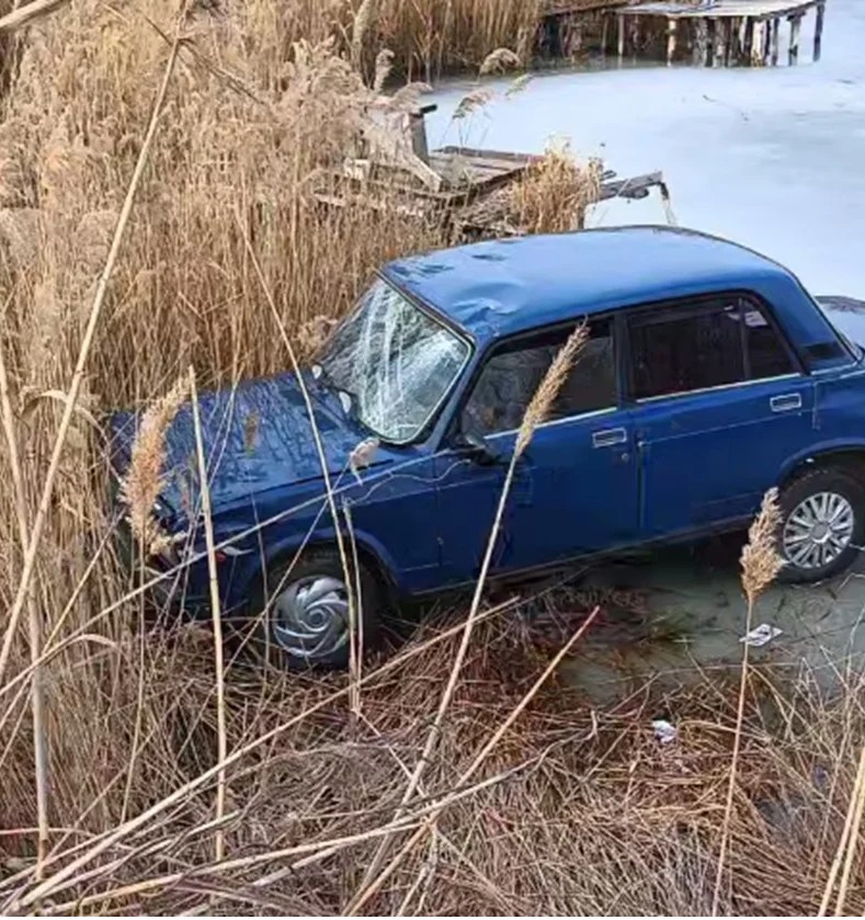 л