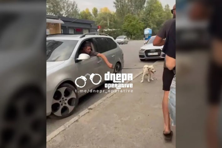 скрин