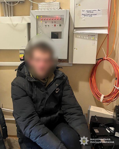 л