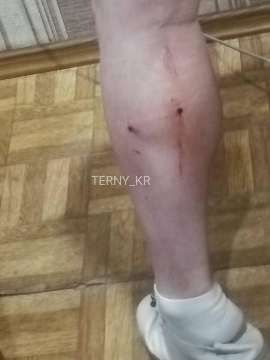 скрин