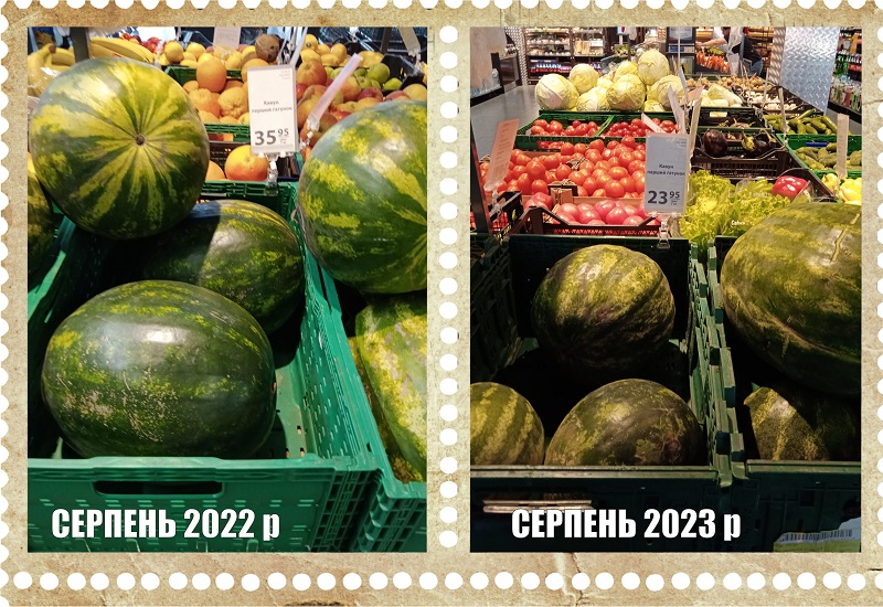 кавуни