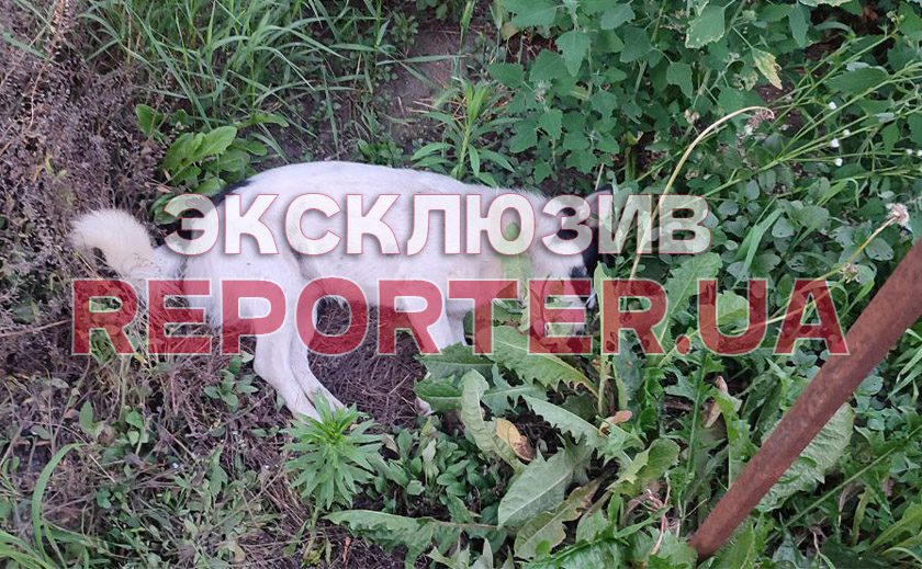 скрин