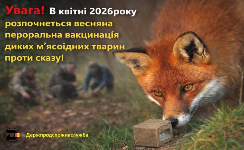 лиса