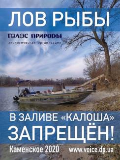 калоша