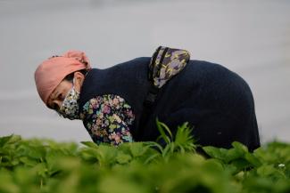 работа в поле