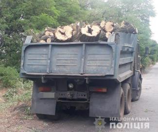 лес