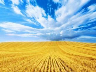 Украина