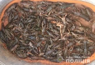 раки