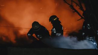 бомжи