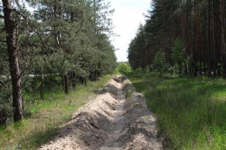 череп