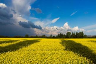 Украина