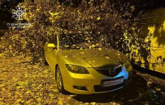 авто
