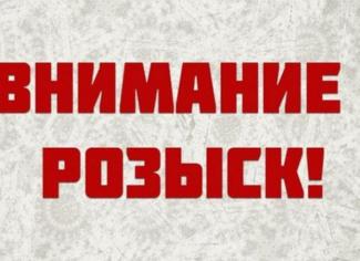 розыск