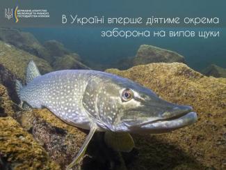 в