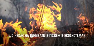 п