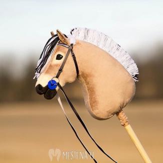 кінь