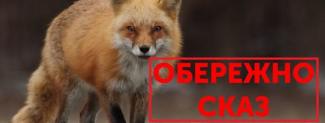 сказ