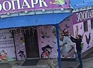 в