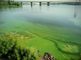 вода