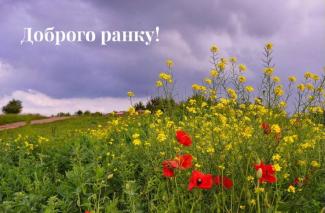 поле