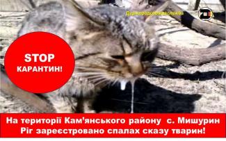 сказ