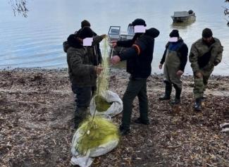 браконбє