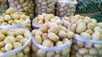 картопля