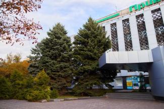 город