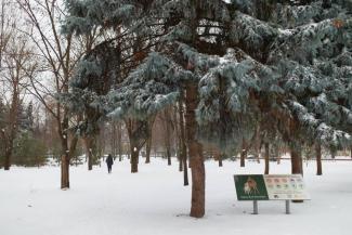 мер