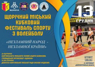  Фестиваль спорту