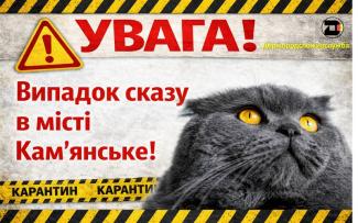 сказ