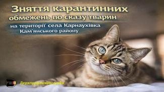 котик