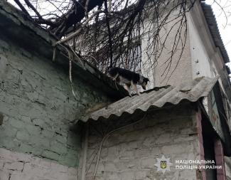 поліція