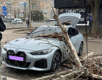дерево