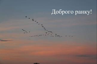 мер