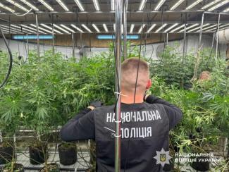 нарко