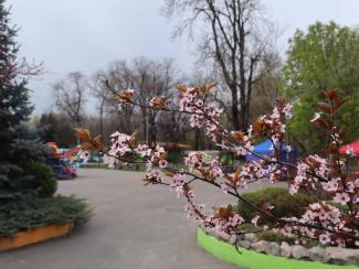 мер