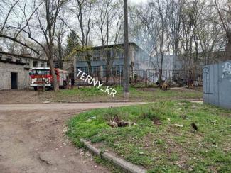 підпал