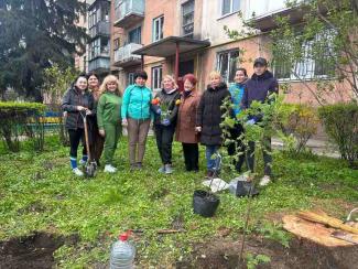 Органи самоорганізації населення