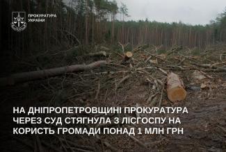 лісгосп