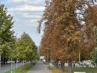 город