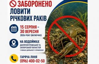 раки
