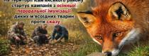 сказ