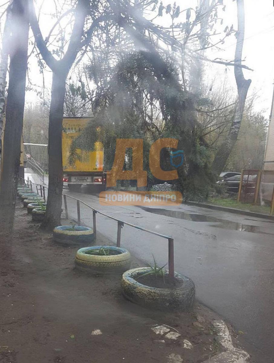 дтп