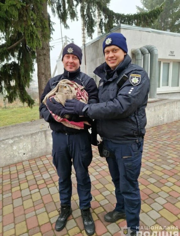 скрин