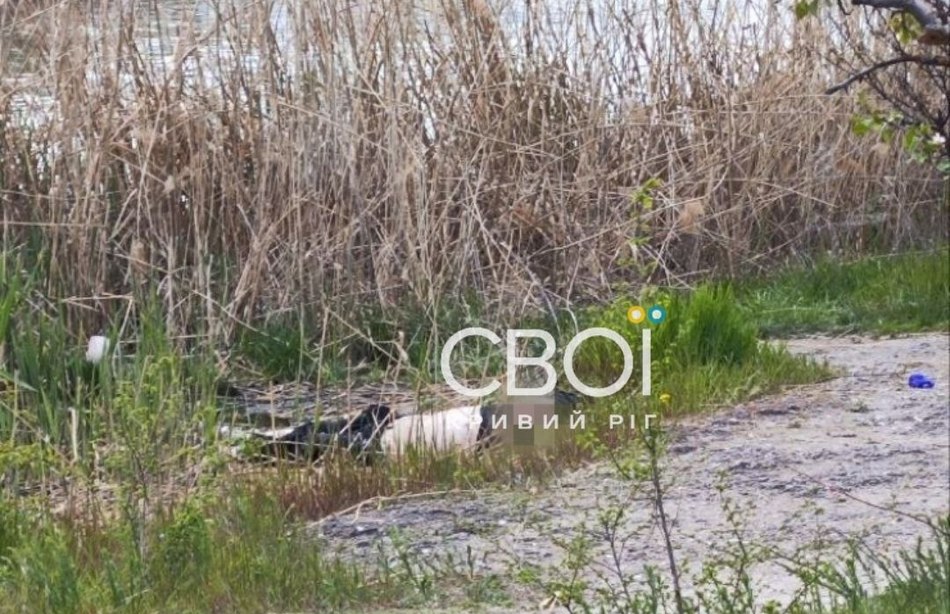 потопельник