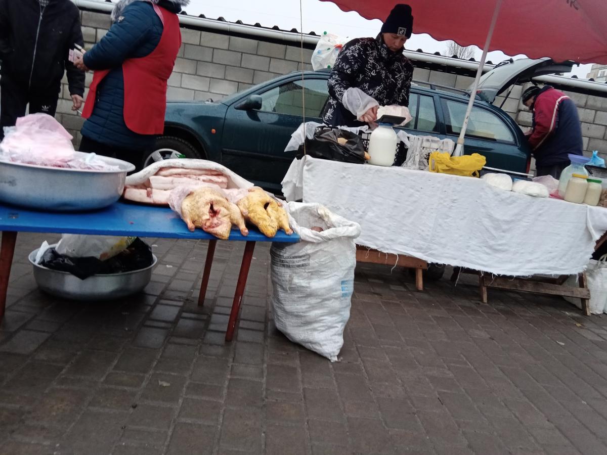 кура