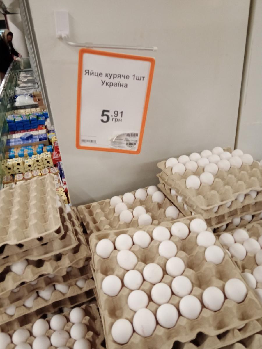 яйца