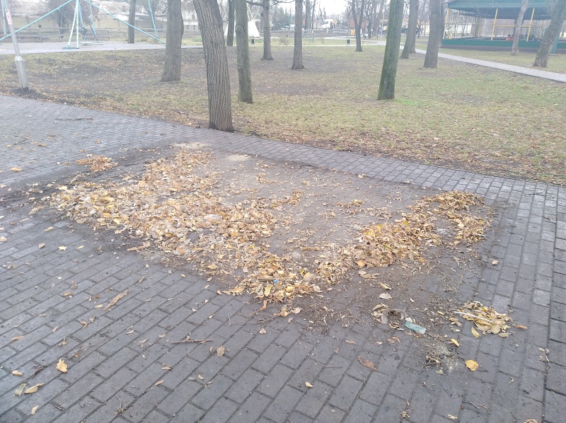 парк 1