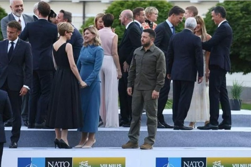 зеля одинак
